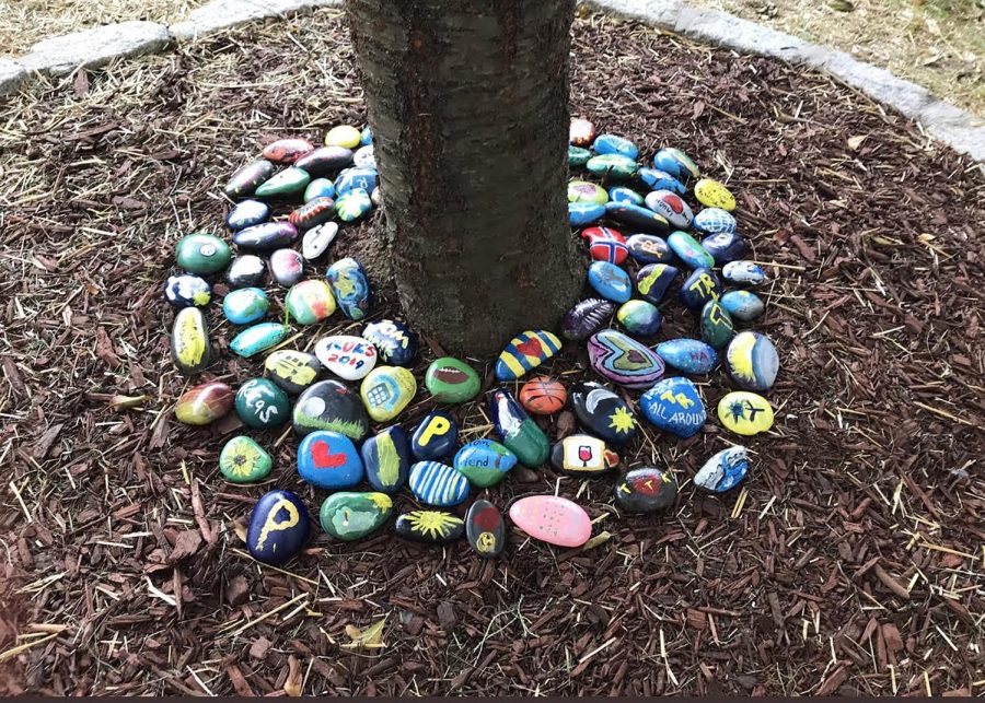 Since Mr. Roksvold dedicated himself to teaching Earth Science, the district thought it would be a fitting tribute to create this Roks Garden, located just outside the window of his former classroom.