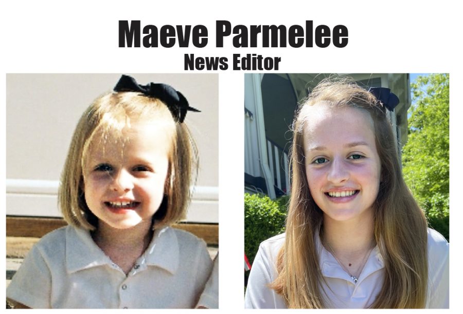 Pel Mel Farewell - Maeve Parmelee