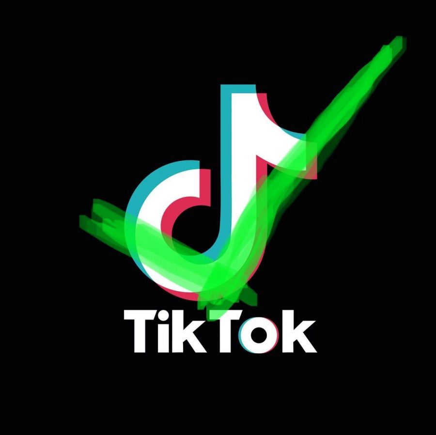Point/Counterpoint: TikTok Should Not Be Banned in the U.S.