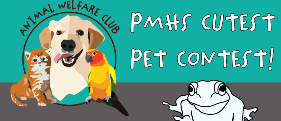 Animal Welfare Clubs Virtual Cutest Pet Competition