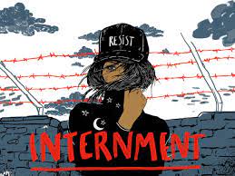 Book Review: Internment