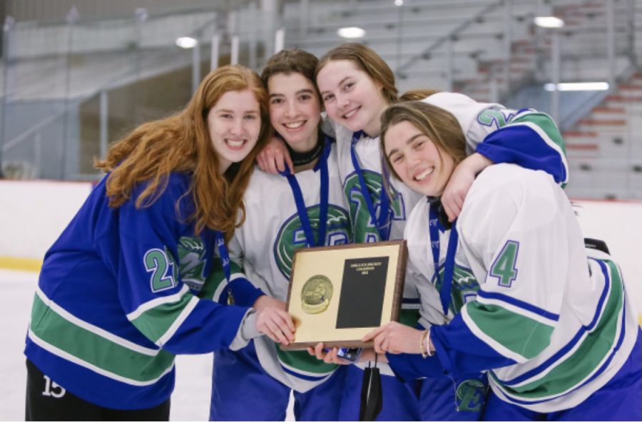 The Pelham Hockey girls won Section but lose in state semifinals.